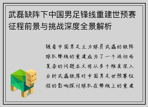 武磊缺阵下中国男足锋线重建世预赛征程前景与挑战深度全景解析